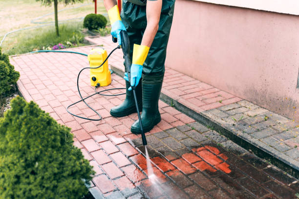 Animal Enclosure Cleaning in Orange Blossom, CA